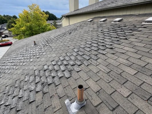 replacing shingles on apartment complex